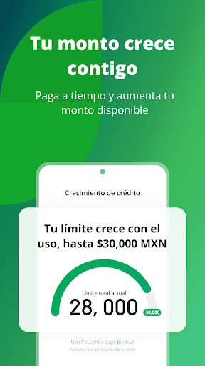 Duxi Finanzas Préstamo Seguro, captura 5
