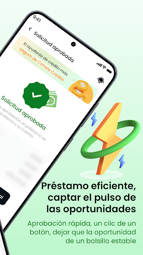 Sólido Crédito Rápido y fácil, captura 2